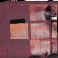 LA Timpa - Pity by One All Good Treasure (LP)(ExperimentalPop)