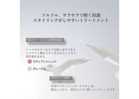 【旧パッケージ半額】SOCIUS TREATMENT MA- inichi T（マイニチT）