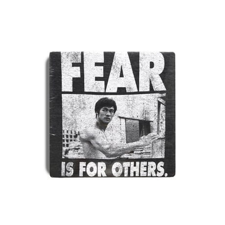 Bruce Lee / Fear Is For Others S/S Tee