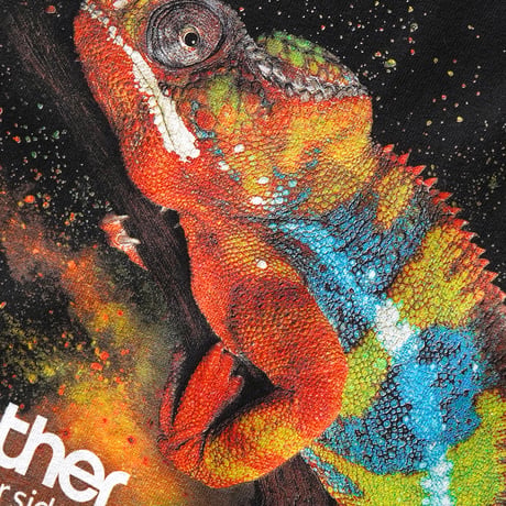 Brother / GTX600 Chameleon S/S Tee