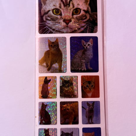 セブン ステッカー 猫 ② SEVEN STICKER CAT