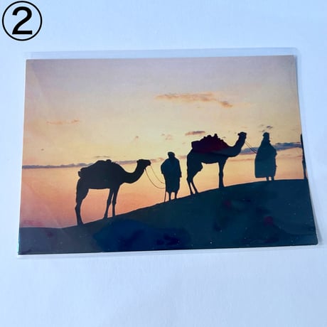 チュニジア　ポストカード　Tunisia Postcard