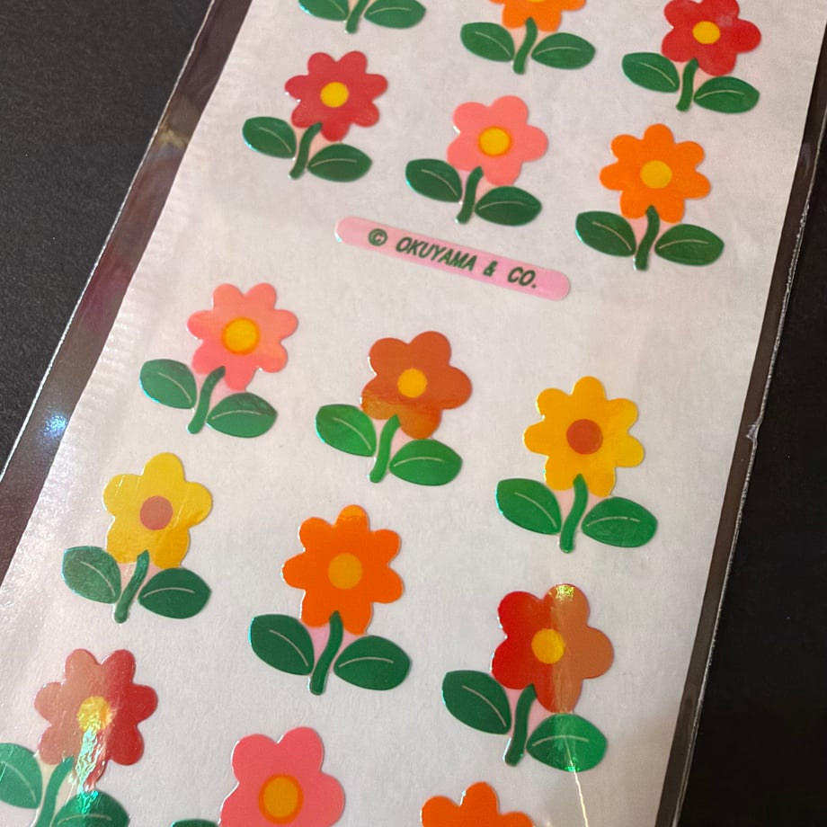 6ae2fc18a31f1a4fa1909dd3