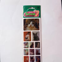セブン ステッカー 猫  SEVEN STICKER CAT