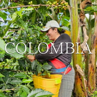 COLOMBIA　ブカラマンガ　エル・パライーソ