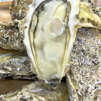 尾崎牡蠣 M（岩手）