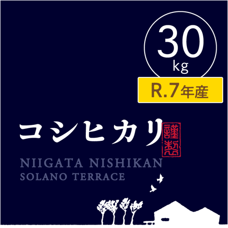 【R.7年度産 売り切りSALE!】【玄米 30kg】そら野テラスの『コシヒカリ』