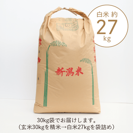 【R.8年度産 新米】【白米 27kg(玄米30kgを精米→白米27kg米袋入)】  そら野テラスの『こしいぶき』