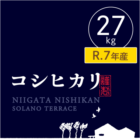 【R.7年度産 売り切りSALE!】【白米 27kg（玄米30kgを精米→白米27kg米袋入)】そら野テラスの『コシヒカリ』