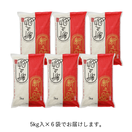 【R.8年度産 新米】【白米 30kg（5kg袋×6袋】  そら野テラスの  『新之助』