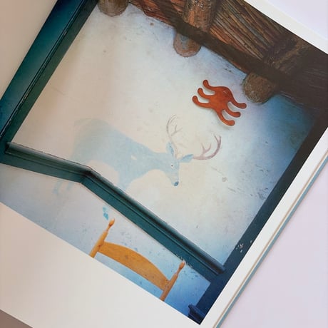 (サイン本)Frozen Features