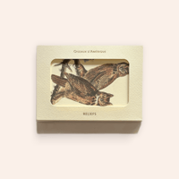 Birds of America Postcards