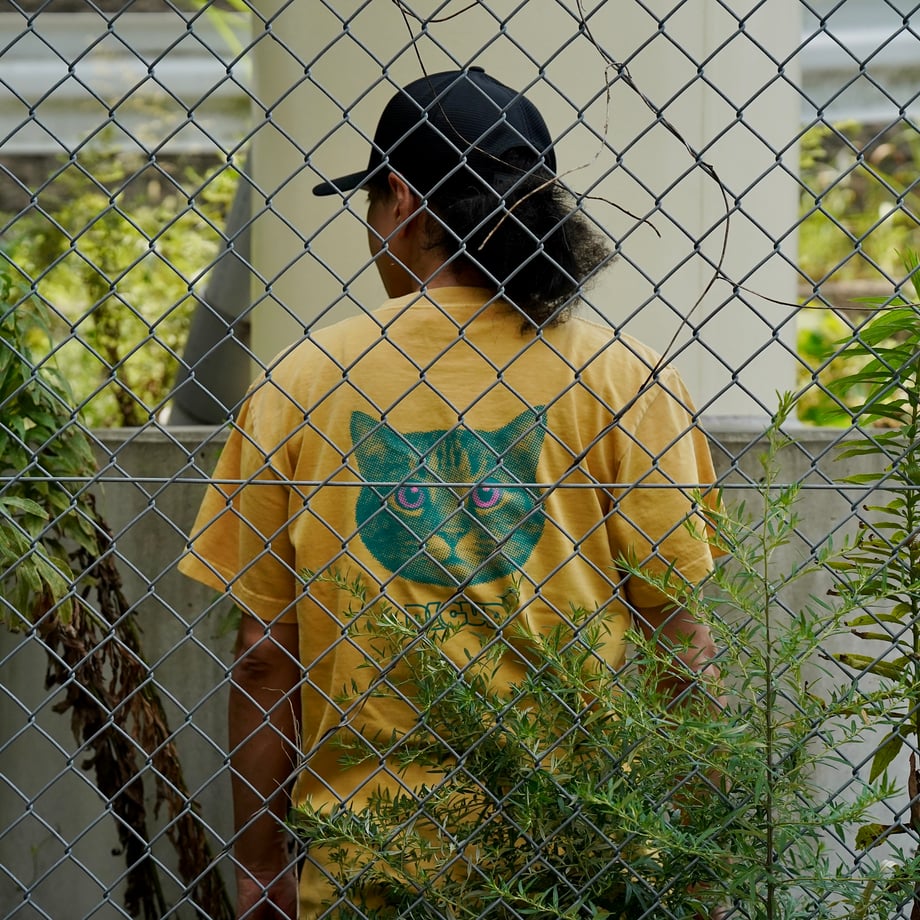 6a6310330359459ccd46067c