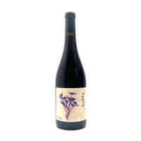 Tailleurs Cueilleurs - Bugey rouge Kobla 2024 赤 タイユール・クイユール / ビュジェ・ルージュ・コブラ