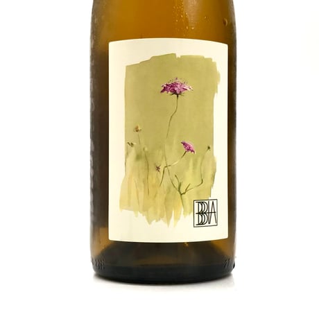 Shun Minowa - 3bbia (Trebbia) 2023 白醸辛 美濃和駿 / トレッビア