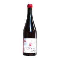 Domaine de Saint Pierre - Tout Facile 2024 赤ドメーヌ・ド・サンピエール Gr/Sy/Ch