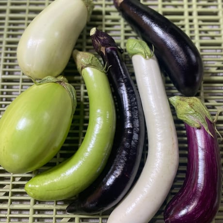 秋の野菜とブルーベリージャムセット｜本日限定販売