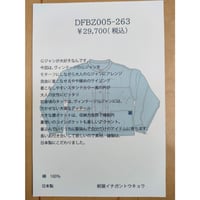DFBZ005-263ブルーグレーデニムノーカーラーＧジャン