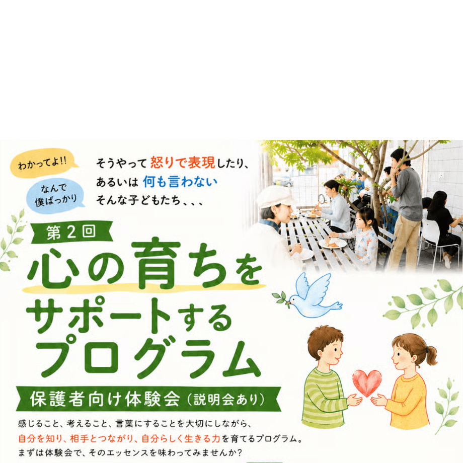 6a2e90d413b9035ea6e5b716
