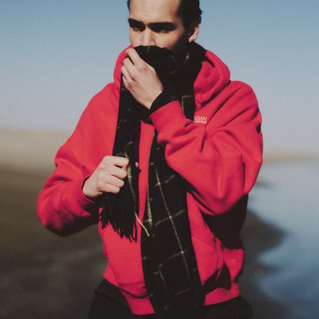SEDAN ALL-PURPOSE| After Hoodie (Red)
