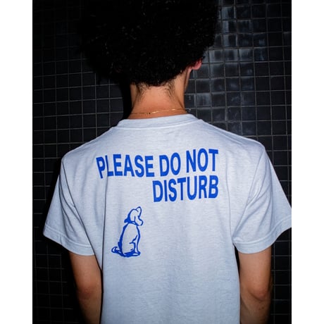 NEWSLETTER| Not Disturb Tee (Grey)