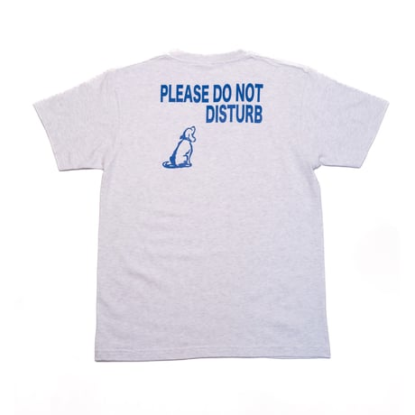 NEWSLETTER| Not Disturb Tee (Grey)