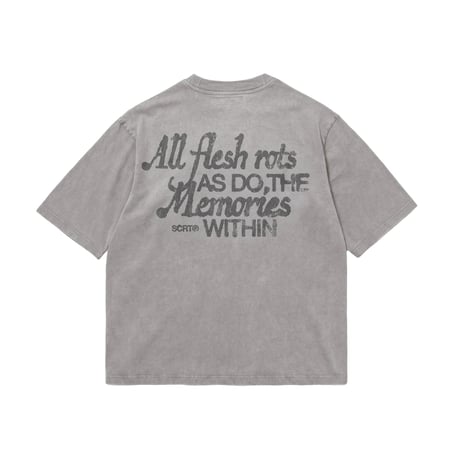Screen Test / Memories T-Shirt (Garment Dyed Grey)