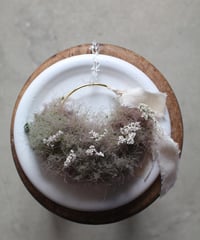 3.スモークツリー  ハーフリース