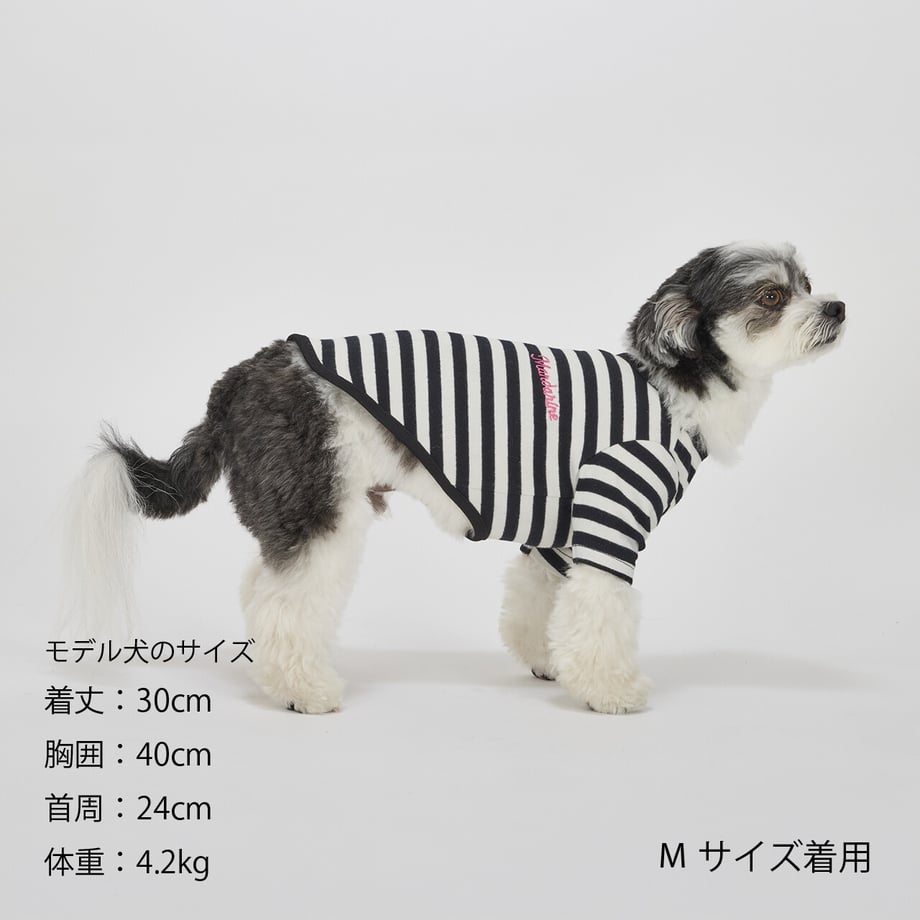 6ab3520c3db3fb2705e588e7