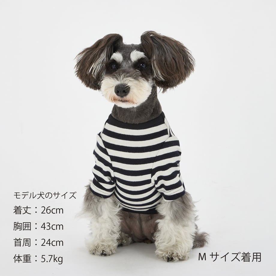 6ab3520c3db3fb2705e588e7