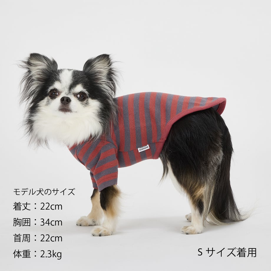 6ab3520c3db3fb2705e588e7