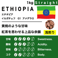 1kg【浅煎り】エチオピア　イルガチェフG1  コンガ  アメデラロ