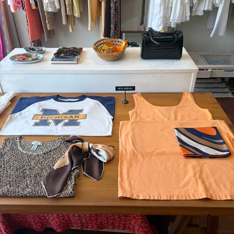 【ご成約済み】Michigan raglan tee