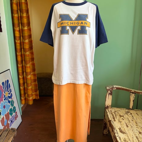 【ご成約済み】Michigan raglan tee