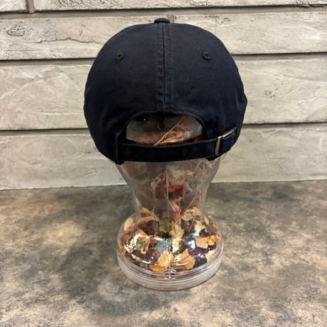 AMERICAN NEEDLE HISTORIC ROUTE 66 MOTEL CAP / BLACK　AN-39