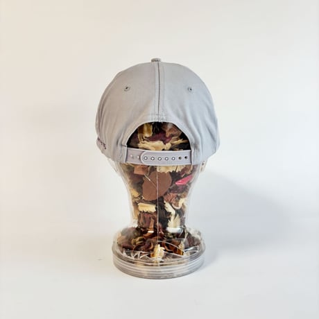 PRO FARMER × SCHERING-PLOUGH AGRICULTURAL PROMOTIONAL ROPE CAP / LIGHT GRAY　 GV-47