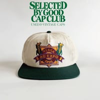 1998 TERRA AG EXPO EMBROIDERED SNAPBACK CAP / NATURAL × GREEN   GV-62
