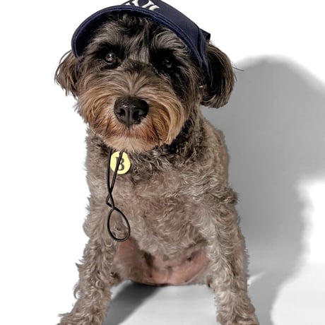 USA買付 NEW YORK YANKEES DOG BASEBALL CAP – NAVY　S/M DO-01 M/LDO-02