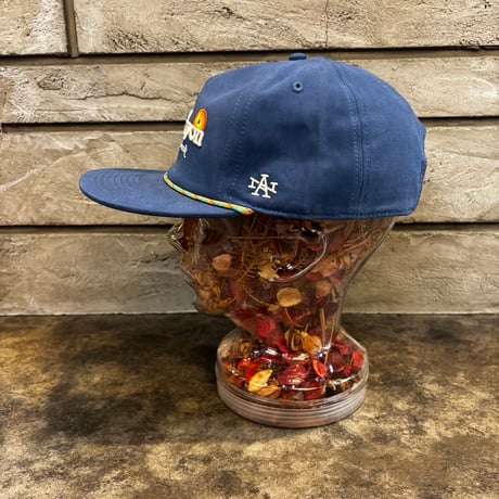 AMERICAN NEEDLE COACHELLA – GRAND CANYON NATIONAL PARK CAP / TIMBER BLUE　AN-35