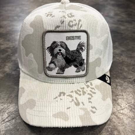 GOORIN BROS. BESTIE CAMO メッシュキャップ｜DUST　ITG-06