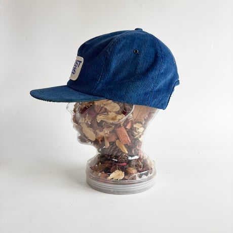HARVEST STATES COOPERATIVES CORDUROY SNAPBACK CAP / BLUE  GV-57