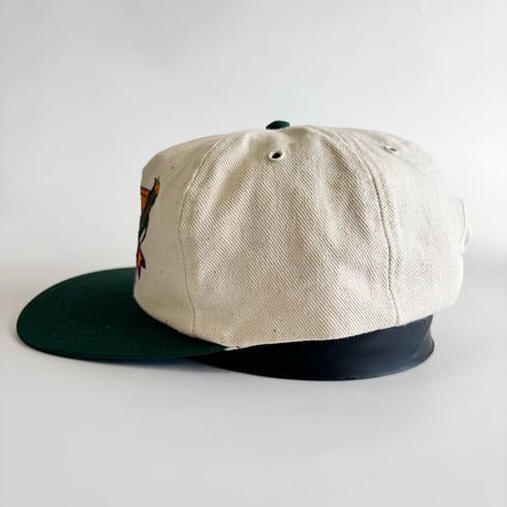 1998 TERRA AG EXPO EMBROIDERED SNAPBACK CAP / NATURAL × GREEN   GV-62