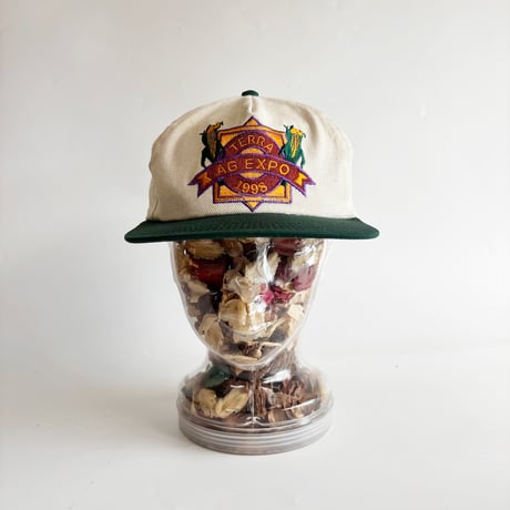 1998 TERRA AG EXPO EMBROIDERED SNAPBACK CAP / NATURAL × GREEN   GV-62