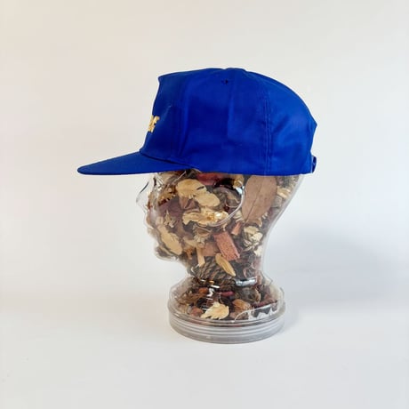 IVOMEC VETERINARY LOGO SNAPBACK CAP / ROYAL BLUE　 GV-45