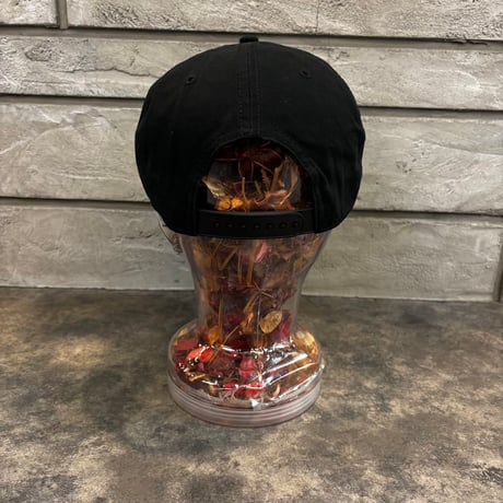 AMERICAN NEEDLE × FORD MOTOR CO. DETROIT ROSCOE CAP – BLACK　AN-32