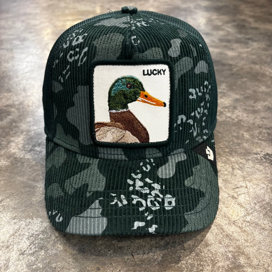 6ab9e7e32a43c9c4b33018d2