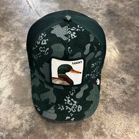 GOORIN BROS. TURTLE CAMO メッシュキャップ｜CELESTIAL　ITG-05