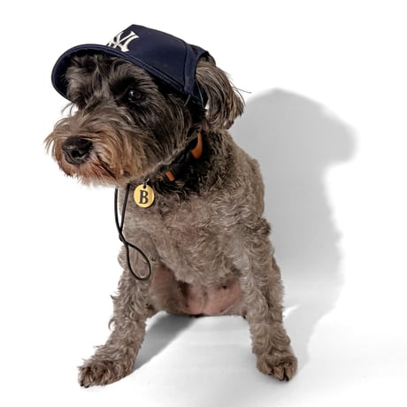 USA買付 NEW YORK YANKEES DOG BASEBALL CAP – NAVY　S/M DO-01 M/LDO-02