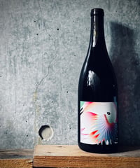 Rosato 2023 ロザート