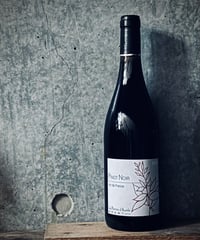 Pinot Noir 2025 ピノ・ノワール